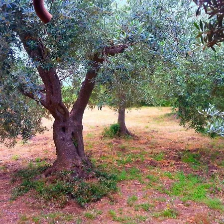Holiday home Belvilla By Oyo Comfy With Garden Monte Argentario